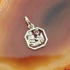 Image 2 of Gold zodiac sign pendant; Aquarius