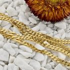 Afbeelding 2 van Gouden gourmetschakel ketting met wiebertjes | 81 cm