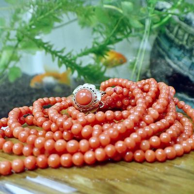 Image 2 of Blood coral bead necklace with gold clasp; Antique | 45 cm