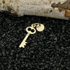 Image 2 of Gold pendant of a lucky key