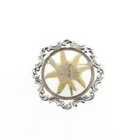 Silver brooch with dried edelweiss flower