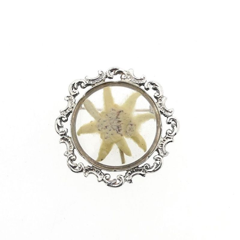 Image 1 of Silver brooch with dried edelweiss flower