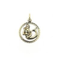 Gold Zodiac Pendant; Aquarius