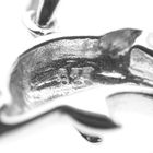 Image 4 of Silver charm; Dolphin