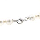 Image 4 of Pearl necklace with silver clasp | 45 cm