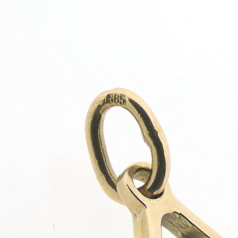 Image 4 of Gold pendant of the naturist symbol