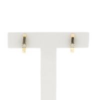 Gold stud earrings with diamond 0.06 ct.