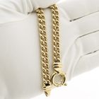 Image 9 of Gold gourmet link bracelet | 22 cm
