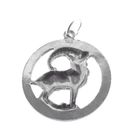 Image 5 of Silver zodiac sign pendant; Capricorn