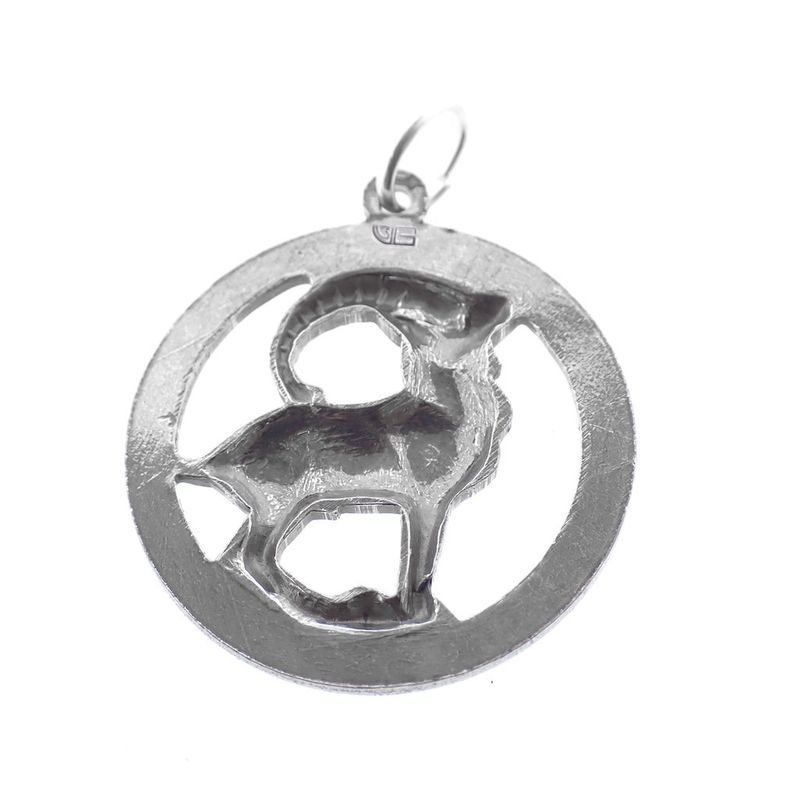 Image 5 of Silver zodiac sign pendant; Capricorn