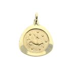 Image 1 of Gold zodiac sign pendant; Capricorn