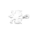 Image 4 of Silver pendant of an Albanian eagle