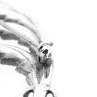 Image 7 of Silver Elegant Feather Brooch