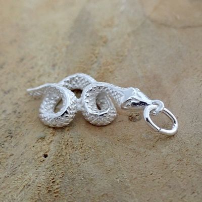Image 2 of Silver charm; Snake