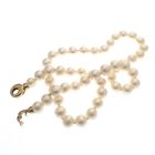 Image 3 of Pearl necklace with gold clasp | 47 cm