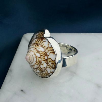 Image 2 of Silver ring with sea snail shell