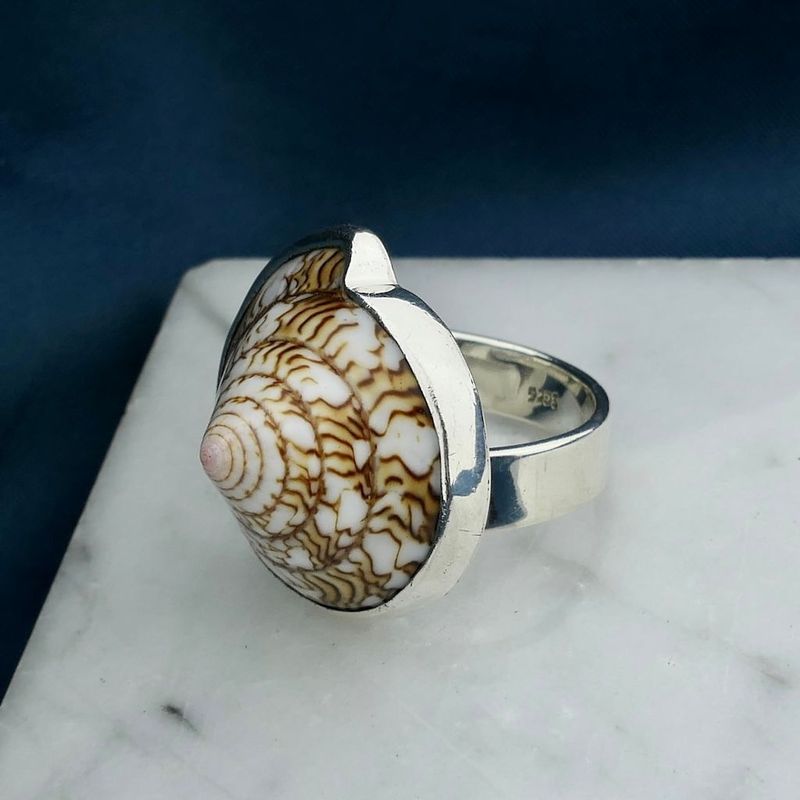 Image 2 of Silver ring with sea snail shell