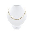 Image 1 of Bicolor gold panther link necklace.