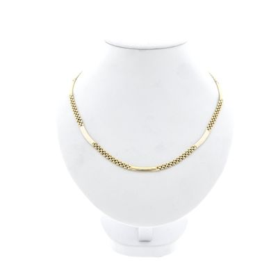 Image 1 of Bicolor gold panther link necklace.