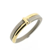 Two-tone gold ring with titanium
