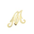 Image 1 of Gold letter brooch; letter M