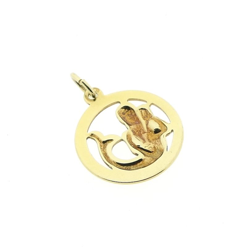 Image 7 of Gold zodiac sign pendant; Aquarius