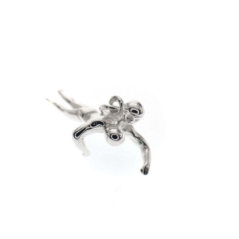Image 3 of Silver charm; Swimmer 2