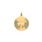 Image 1 of Gold zodiac sign pendant; Capricorn