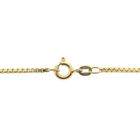 Image 3 of Golden Venetian link chain; 60.5 cm
