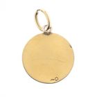 Image 5 of Bicolor pendant of the zodiac sign Sagittarius