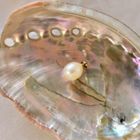 Image 2 of 18 ct. Gold pendant with cultured pearl