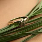 Image 2 of Golden ring with diamond; 0.005 ct.