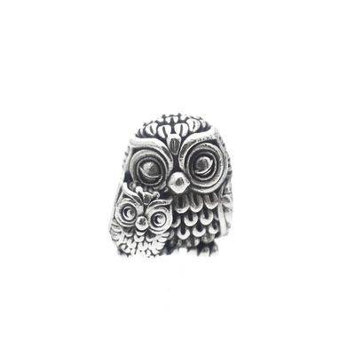 Image 1 of Pandora Moments charm; Silver; Mother and baby owl