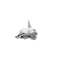 Silver charm; Hedgehog