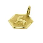 Image 6 of Golden Leo zodiac sign pendant.