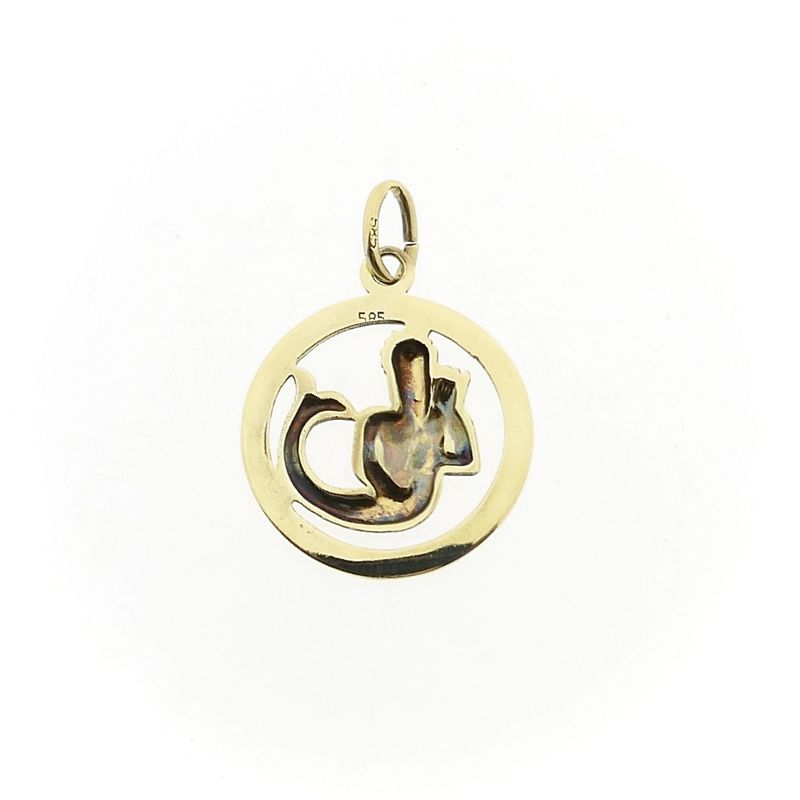 Image 5 of Gold Zodiac Pendant; Aquarius