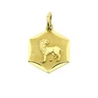 Image 1 of Golden Leo zodiac sign pendant.