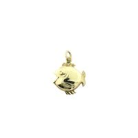 Gold pendant of a fish.