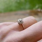 Image 8 of White gold entourage ring with diamond | 0.35 ct.