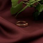 Image 2 of Golden fantasy ring