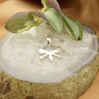 Silver pendant of an Albanian eagle