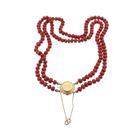 Image 4 of Antique blood coral bead necklace with gold clasp.