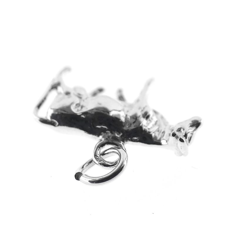 Image 3 of Silver charm; Taurus