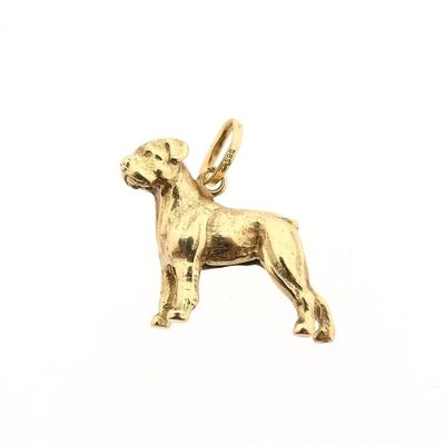 Afbeelding 1 van Gouden hanger van een rottweiler