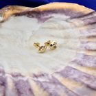 Image 5 of Gold stud earrings with diamond; 0.01 ct.