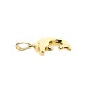 Afbeelding 10 van Gouden hanger van een dolfijn