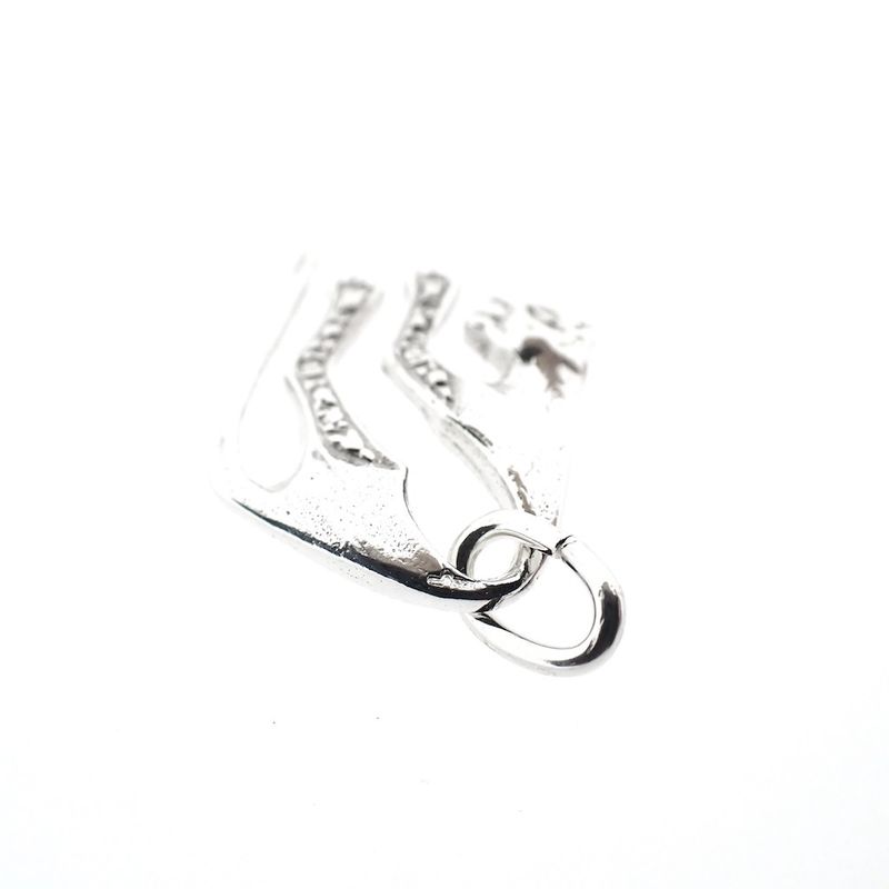 Image 3 of Silver charm; Panther 1