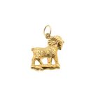 Image 1 of Gold zodiac sign pendant | Capricorn