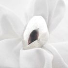 Image 3 of Silver ring with oval design