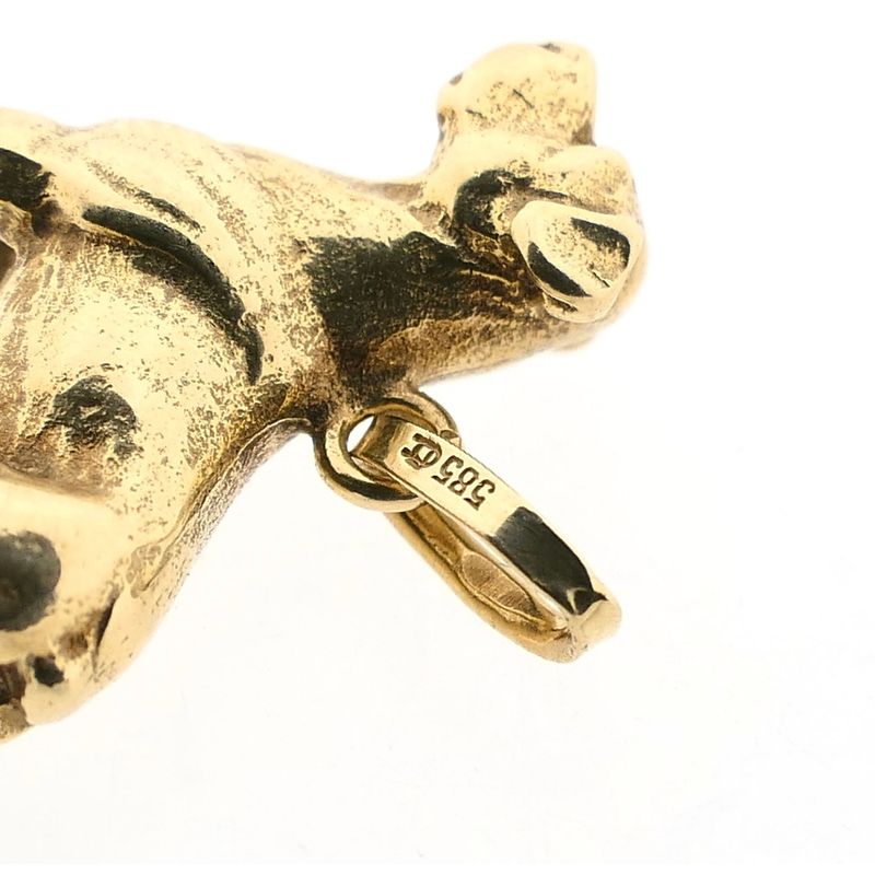 Afbeelding 9 van Gouden hanger van een rottweiler